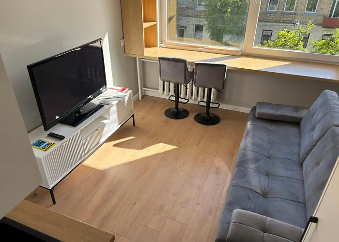 Apartment Rr In Algirdo Street