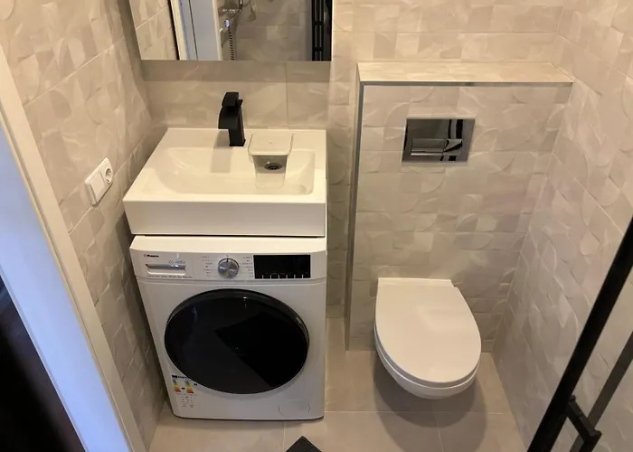 Rr In Algirdo Street Apartment Wilna