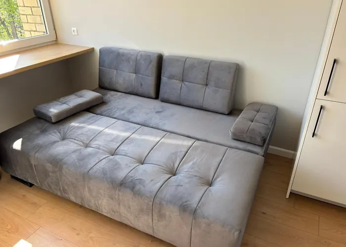 Rr In Algirdo Street * Βίλνιους