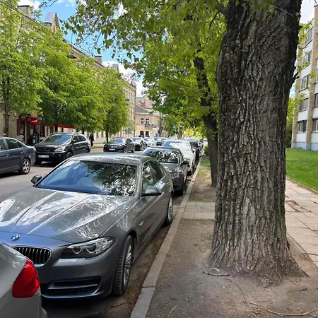 Rr In Algirdo Street شقة *