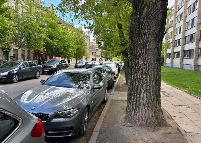 Rr In Algirdo Street شقة *